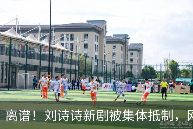 离谱！刘诗诗新剧被集体抵制，网友吐槽文案出乎意料地一致