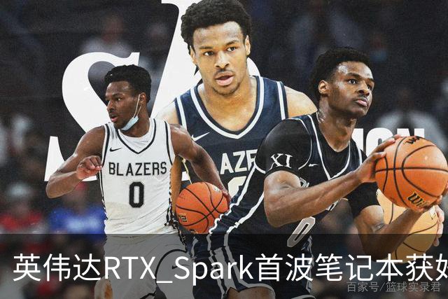英伟达RTX Spark首波笔记本获好评，但续航成了问号